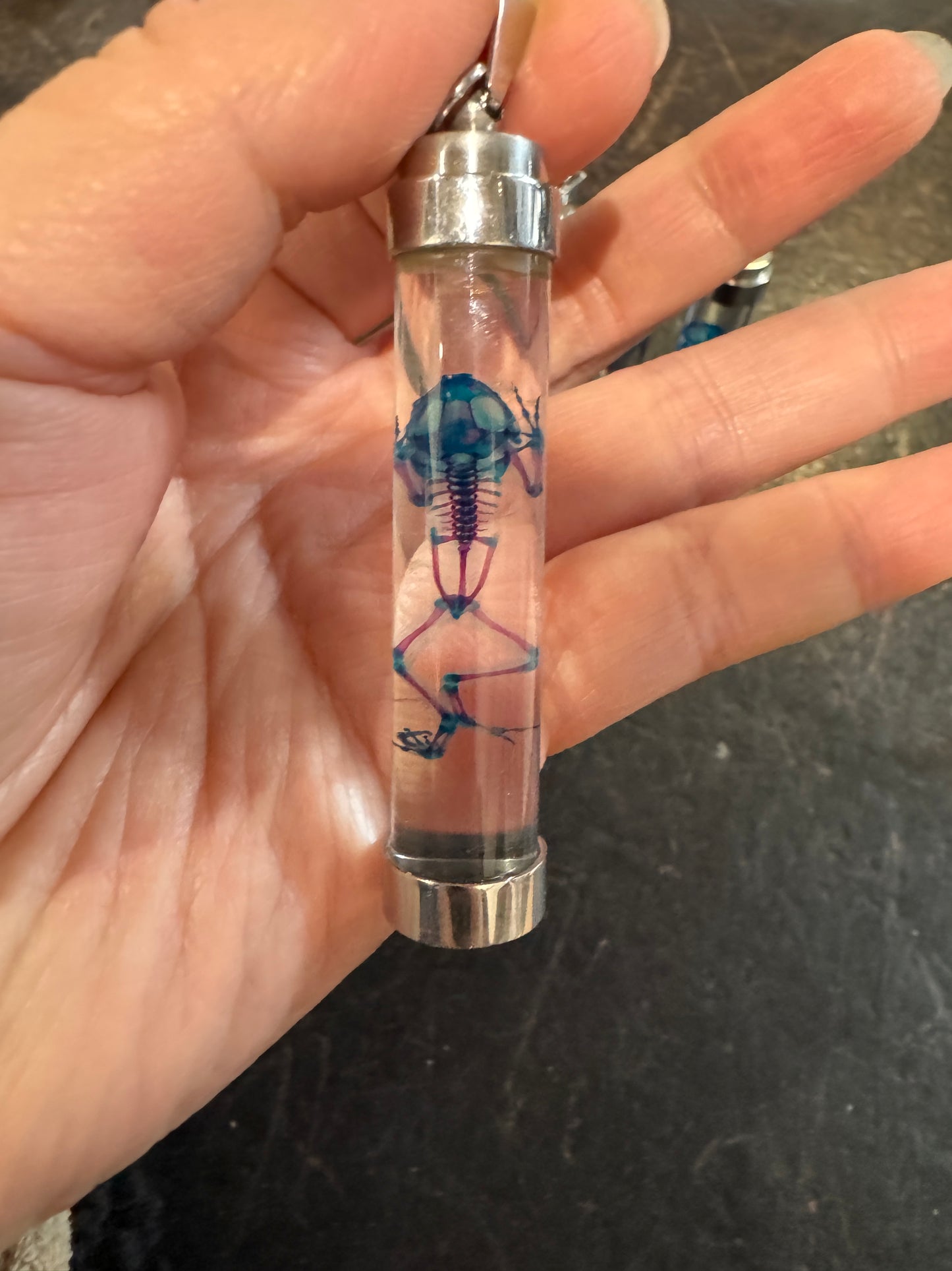 Diaphonised cane toad pendant