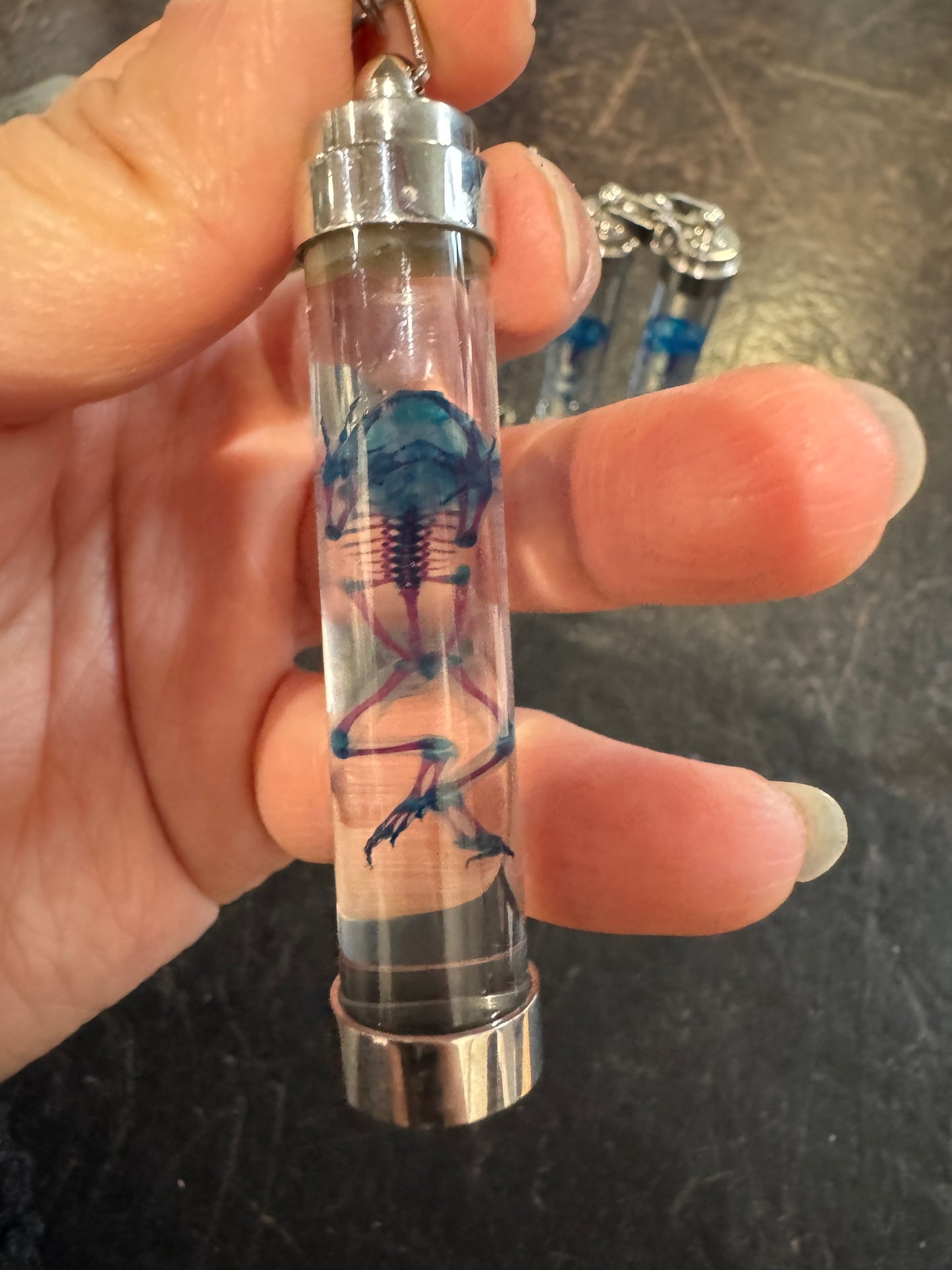 Diaphonised cane toad pendant
