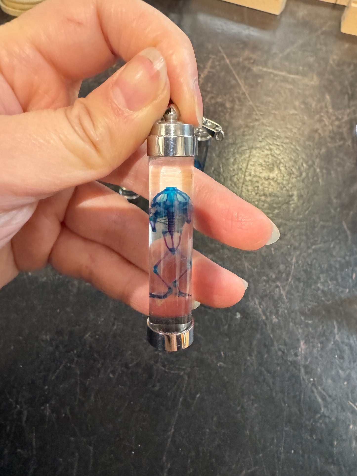Diaphonised cane toad pendant