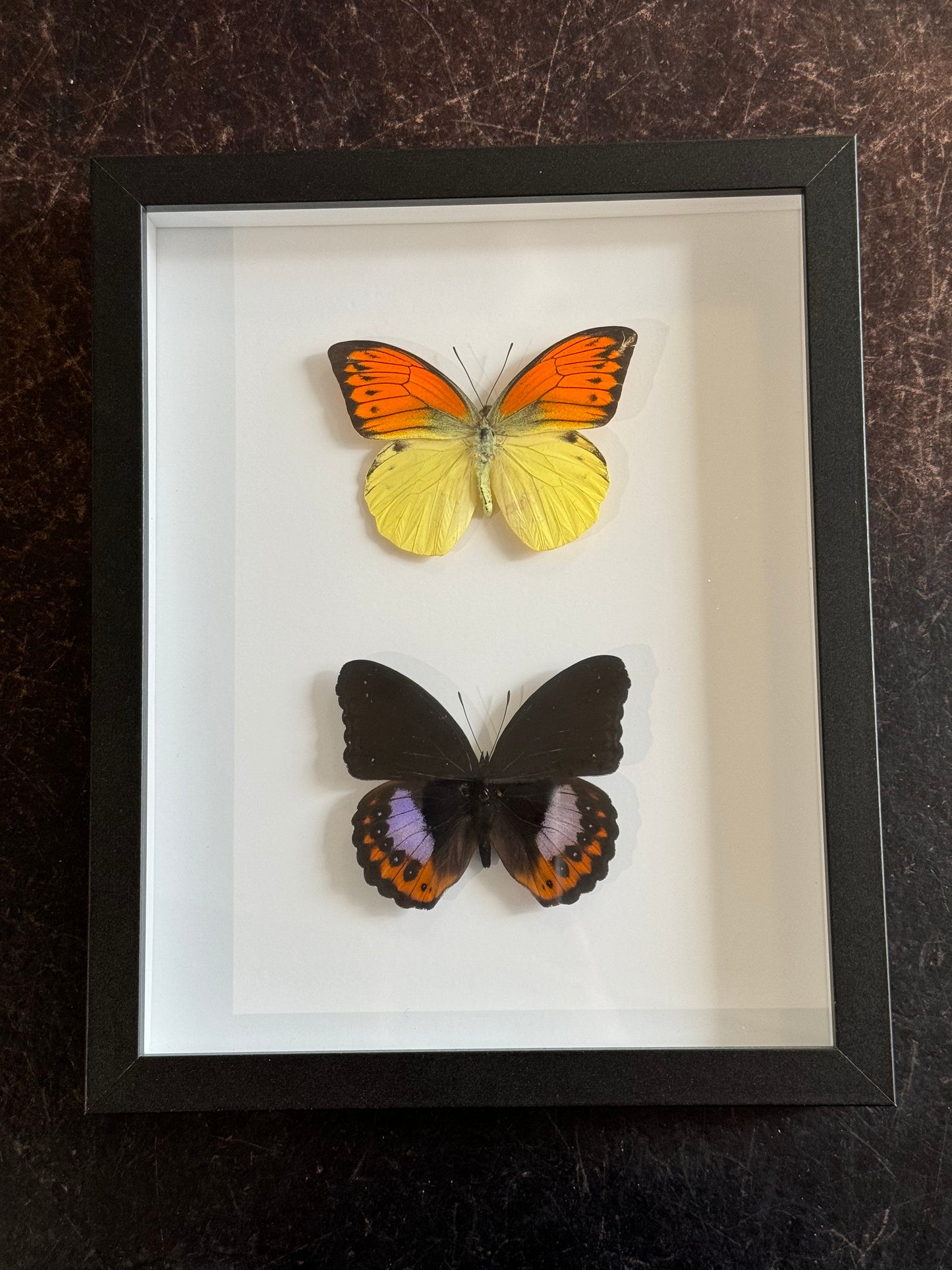 Double butterflies