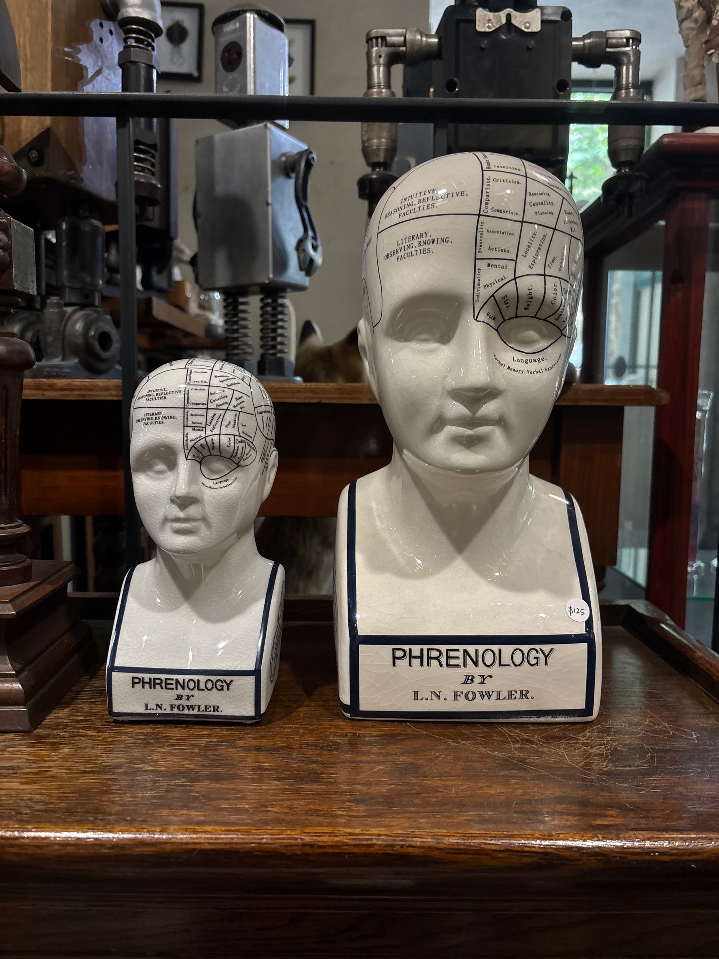 Phrenology head