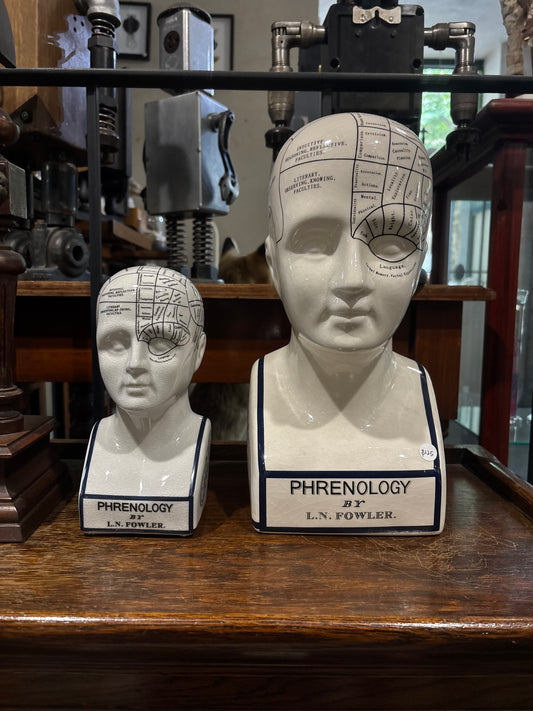 Phrenology head