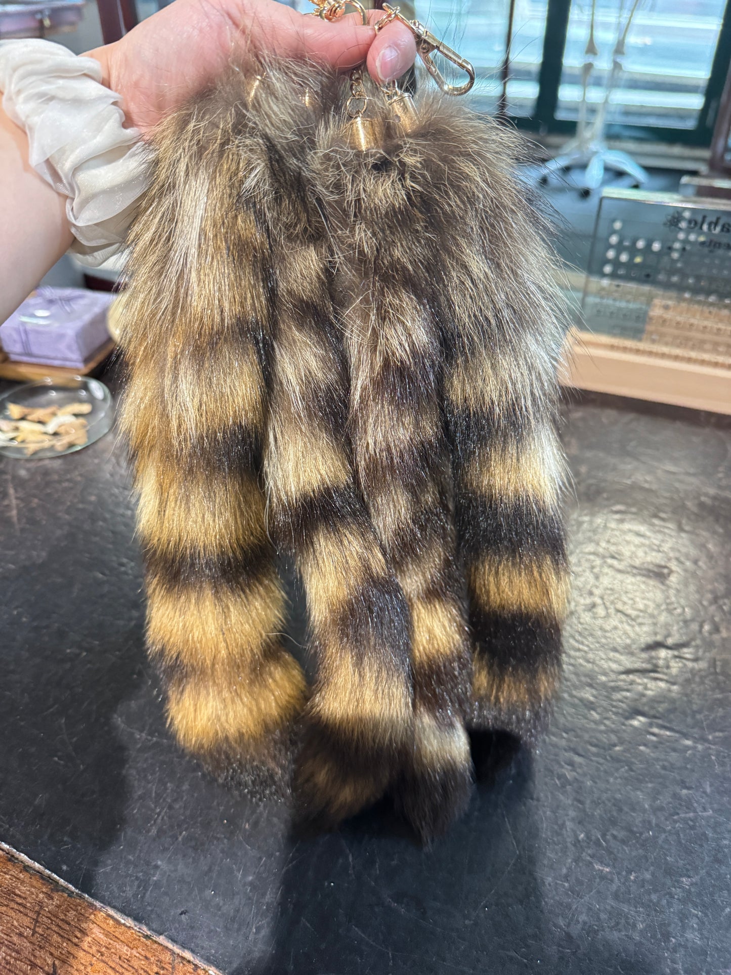 Raccoon tail